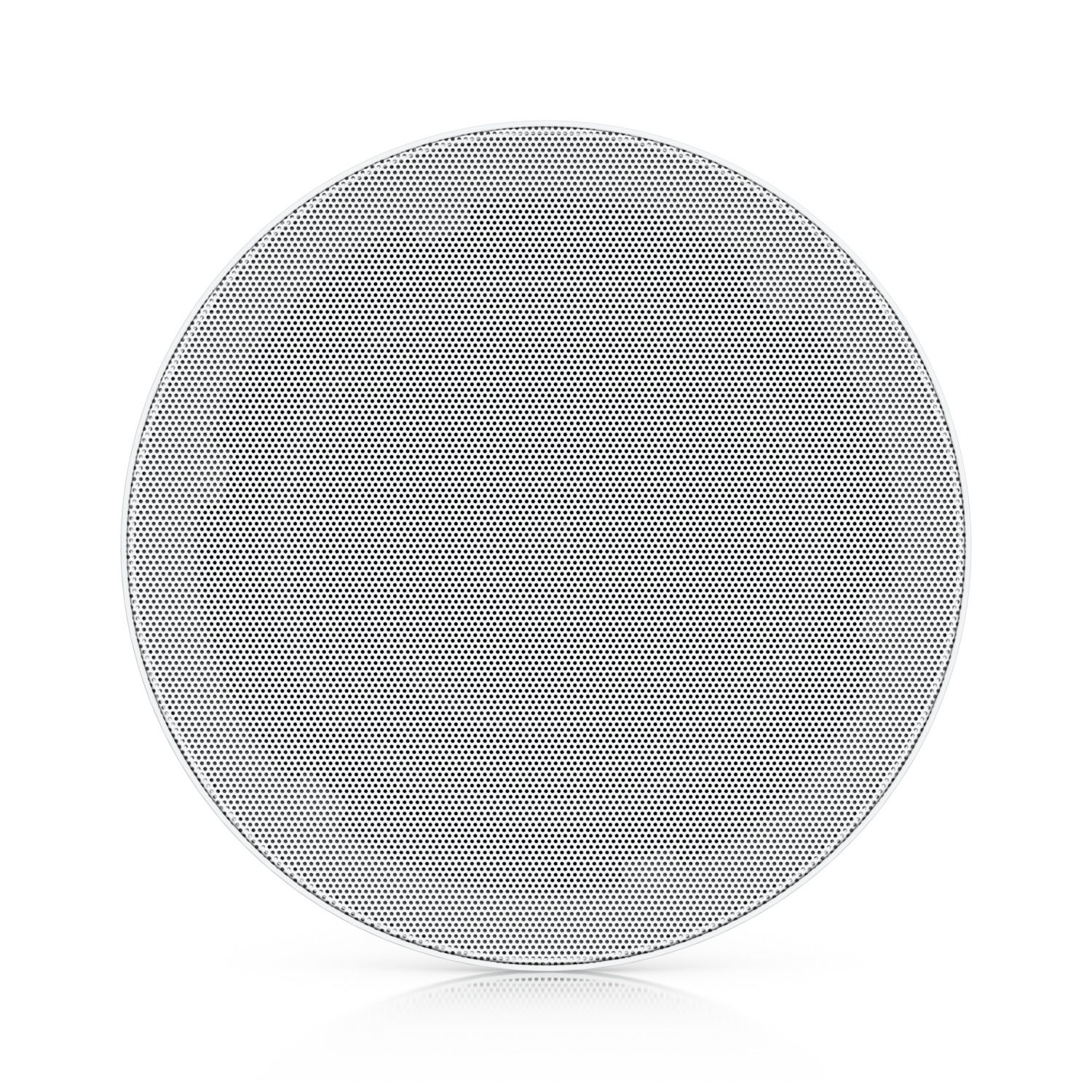In-Ceiling Speaker